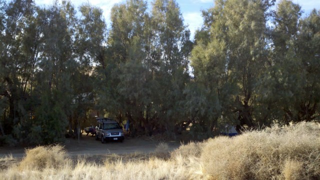 2012-01-14_11-06-18_469