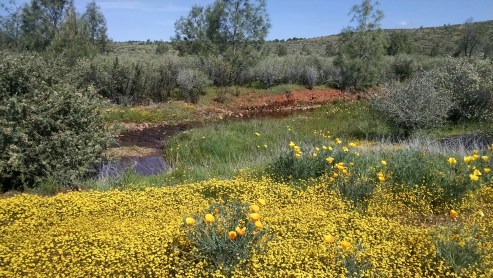 IMG_20160326_113513757