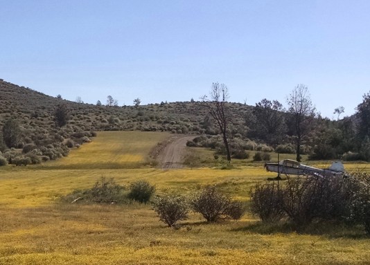 IMG_20160326_102107506