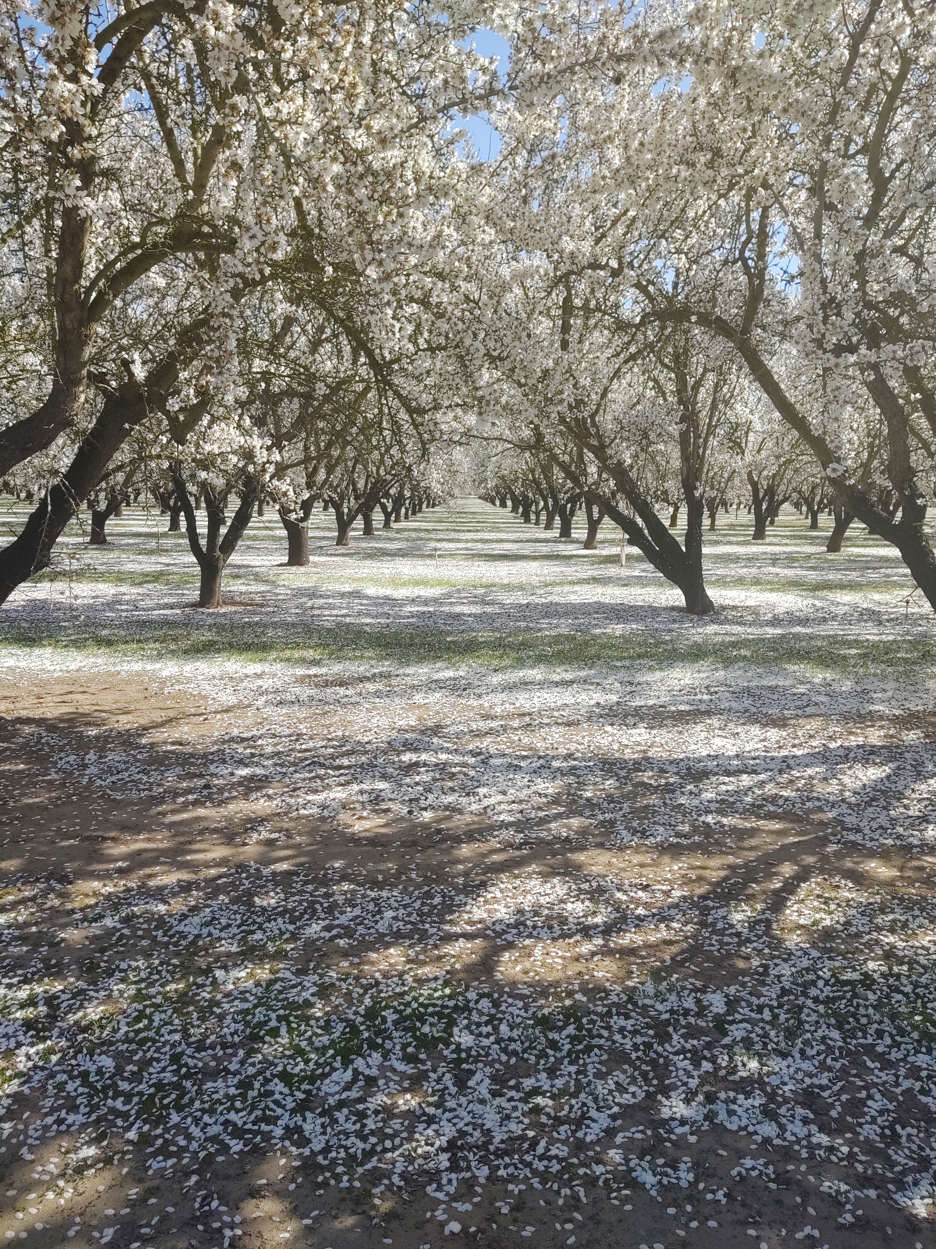 img_20200229_105659136