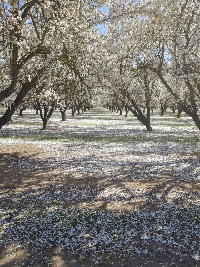 img_20200229_105659136